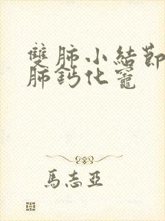 双肺小结节,右肺钙化灶