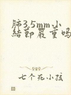 肺3.5mm小结节严重吗