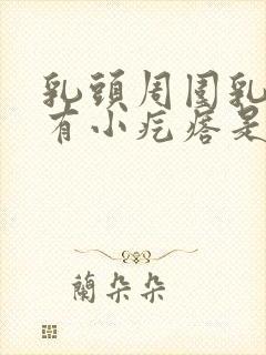 乳头周围乳晕上有小疙瘩是怎么回事封面