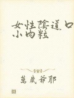 女性阴道口内侧小肉粒