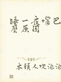 睡一夜嘴巴苦什么原因