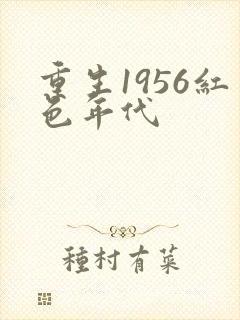 重生1956红色年代封面