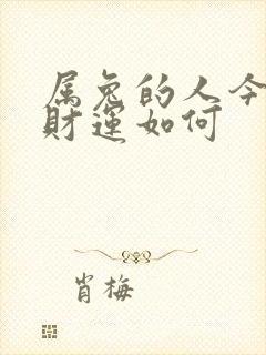 属兔的人今日偏财运如何