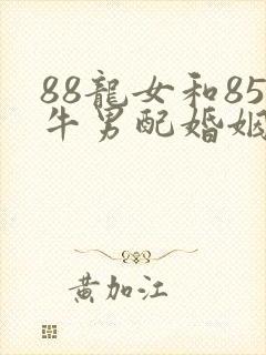 88龙女和85牛男配婚姻好不好封面