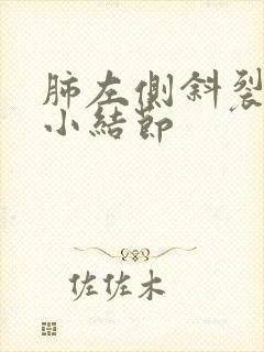 肺左侧斜裂处微小结节封面