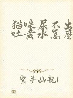 猫咪尿不出来还吐黄水怎么办