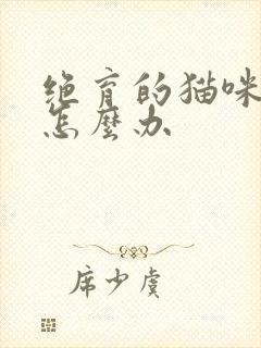 绝育的猫咪乱尿怎么办封面