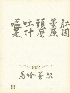 呕吐头晕肚子疼是什么原因