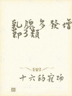 乳腺多发增生结节3类