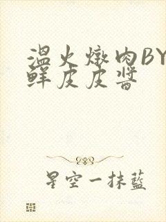 温火炖肉BY海鲜皮皮酱