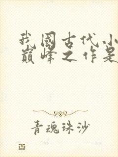 我国古代小说的巅峰之作是封面