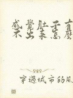 感觉肚子有屎拉不出来怎么办封面