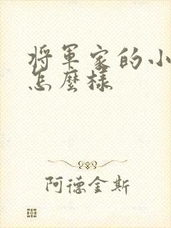 将军家的小娘子怎么样封面