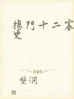 杨门十二寡妇艳史