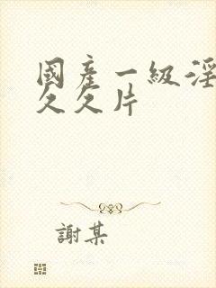 国产一级淫片久久久片