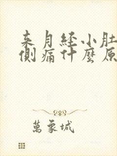 来月经小肚子左侧痛什么原因