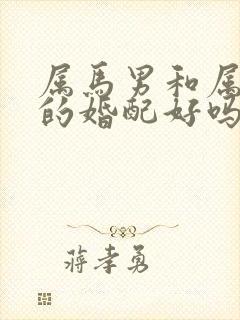 属马男和属鼠女的婚配好吗