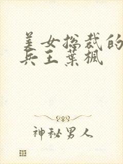 美女总裁的贴身兵王叶枫