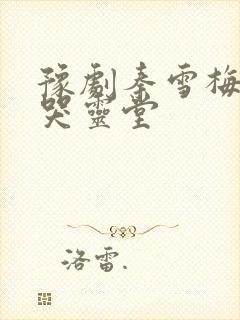 豫剧秦雪梅吊孝哭灵堂