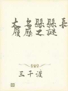 大名县县长李爽履历之谜