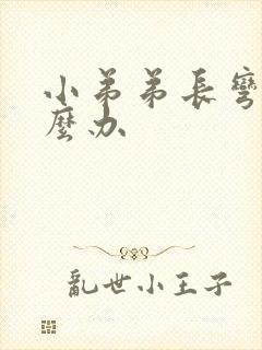 小弟弟长弯了怎么办封面