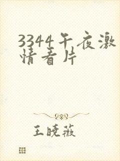 3344午夜激情看片
