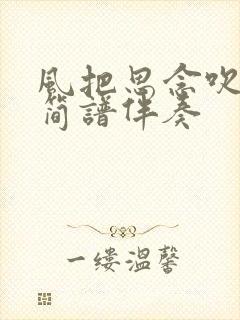 风把思念吹动态简谱伴奏