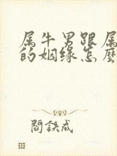 属牛男跟属蛇女的姻缘怎么样