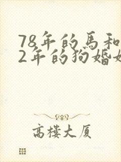 78年的马和82年的狗婚姻相配