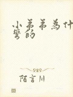 小弟弟为什么是弯的封面