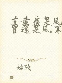 有黄痰是风热感冒还是风寒感冒封面