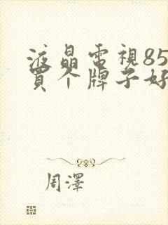 液晶电视85的买个牌子好