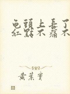 龟头上长了一颗红点不痛不痒