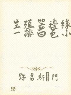 生殖器边缘多了一排白色小疙瘩