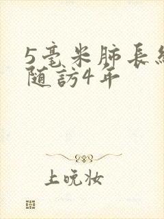5毫米肺长结节随访4年