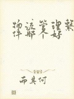 物流管理系统软件哪个好