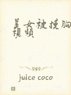 美女被摸胸吸胸视频封面