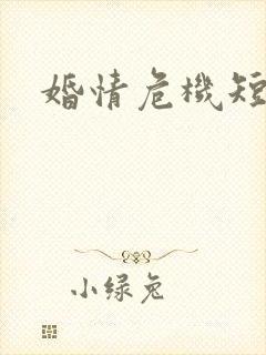 婚情危机短剧