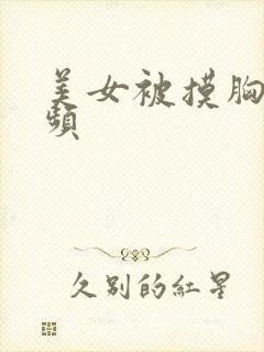 美女被摸胸的视频