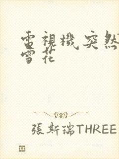 电视机突然全屏雪花