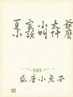 夏家小太爷原著小说叫什么名字