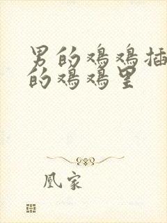 男的鸡鸡插入女的鸡鸡里