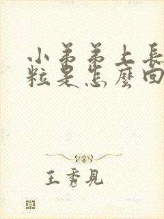 小弟弟上长小肉粒是怎么回事