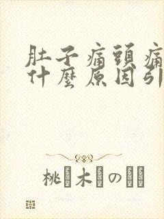 肚子痛头痛想吐什么原因引起的