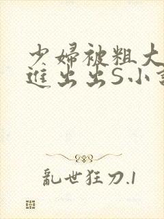 少妇被粗大猛进进出出S小说封面