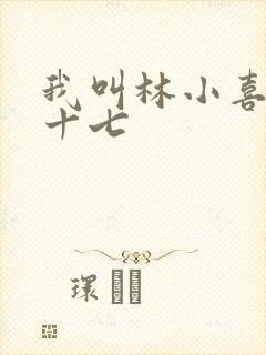 我叫林小喜今年十七