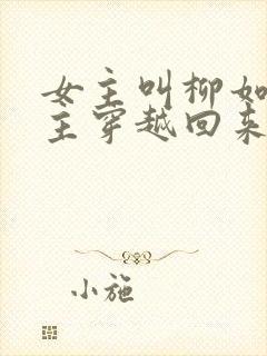 女主叫柳如烟男主穿越回来的小说