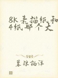 8k素描纸和a4纸哪个大