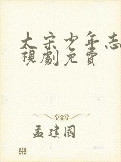 大宋少年志 电视剧免费