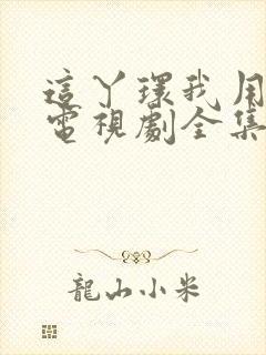 这丫环我用不起电视剧全集免费观看